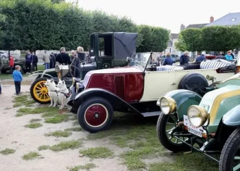 L’assurance flotte pour voitures de collection : un choix judicieux pour vos véhicules anciens