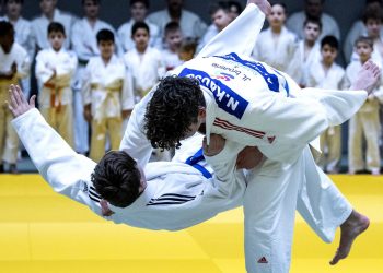 découvrez comment la réorganisation du dojo ia optimise l'apprentissage et l'innovation en intelligence artificielle. explorez nos nouvelles initiatives et renforcez vos compétences techniques dans ce domaine en pleine évolution.