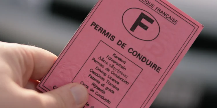 Permis de conduire rose : est-il toujours valable ?