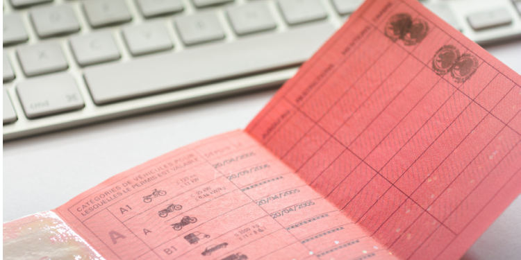 Solde de points du permis de conduire : comment le consulter