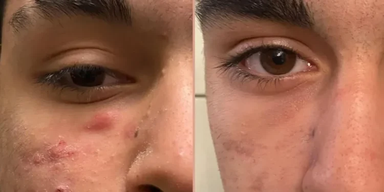 découvrez comment les chauffeurs de tesla semi sont conquis après une longue période d'attente, grâce à ses performances innovantes et son confort exceptionnel.