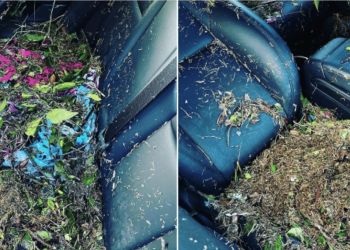 tesla résout enfin le problème de la pluie avec une nouvelle technologie innovante améliorant la sécurité et le confort des conducteurs.